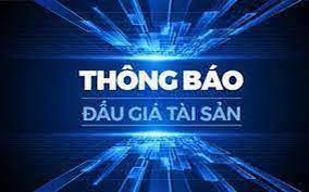 Tài sản của Chi cục thi hành án dân sự TX Quảng Yên (LẦN 4) là Hệ thống Robot gắp gạch lên Goong 3m7x3m5, năng suất 18.000 viên/giờ