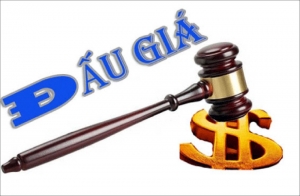 THÔNG BÁO ĐẤU GIÁ TÀI SẢN 