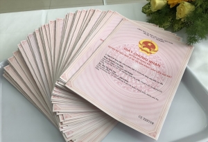 Đấu giá quyền sử dụng đất thị xã Đông Triều